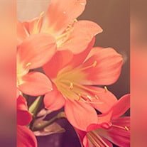 Georgia Ellen Fregia