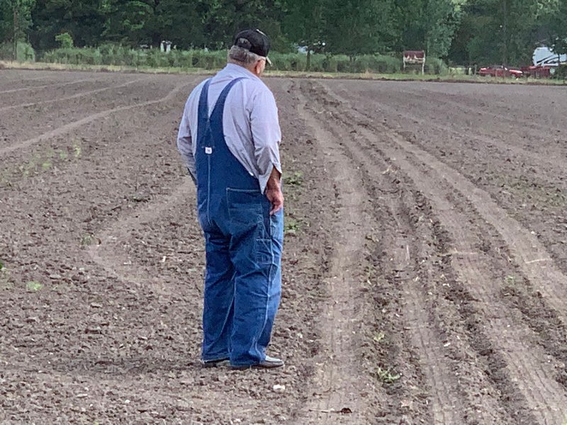 Harvey LaVerne Duty - Photo 3