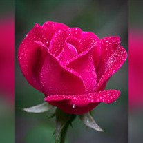 Kimberly Dawn Hargraves