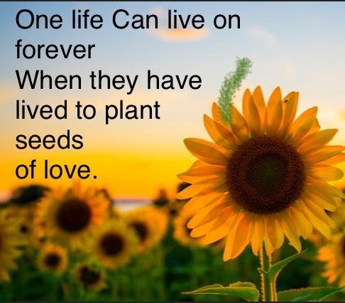 Judy Ann Rulon - Photo 2