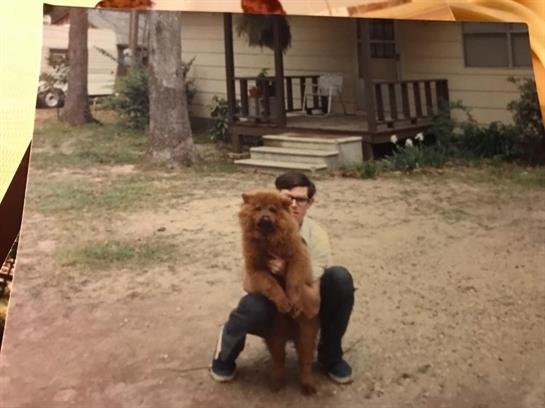 Jane Caroline Ford - Photo 10