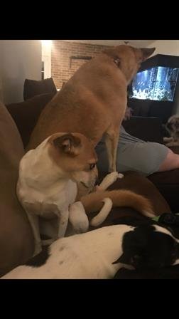 Theresa Renee Ferguson - Photo 2