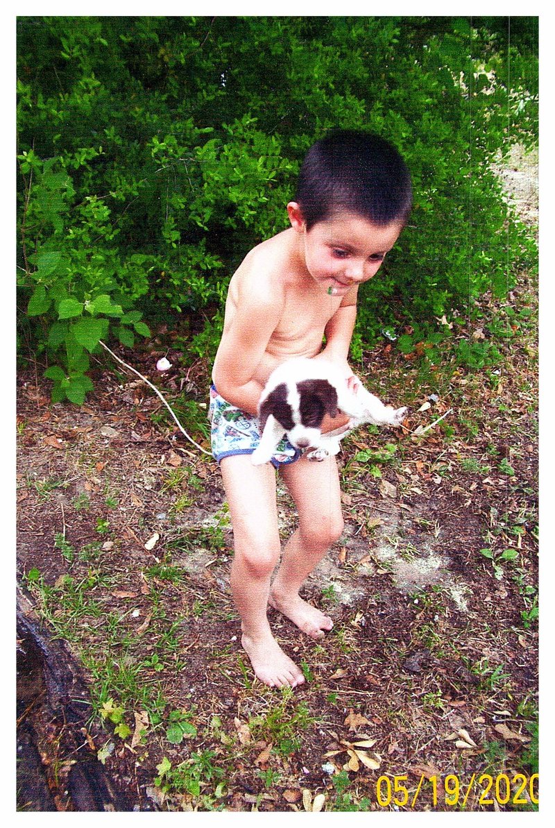 Lisa Michelle Gilliam - Photo 3