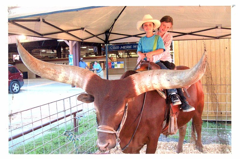 Lisa Michelle Gilliam - Photo 10