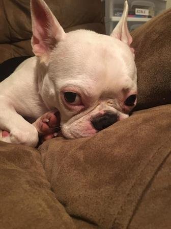 Curtis Wayne Wood - Photo 10