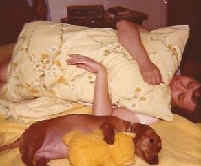 Bobbie Lurenda Stengler Best - Photo 10