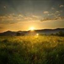 Arthur " Mickey " Shannon - Photo 3