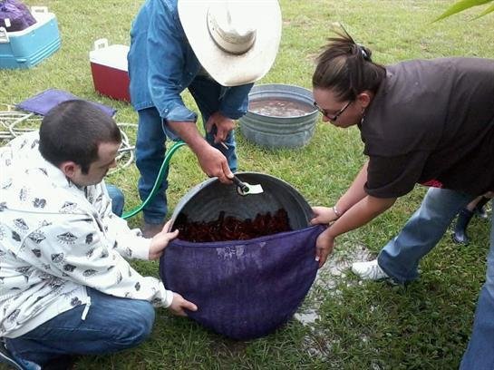 Louis Corne l"Luke" White - Photo 2