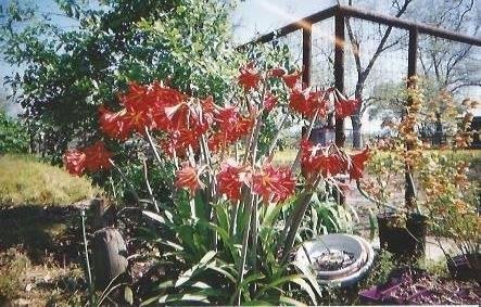 Ethel Mae Clark Mehl - Photo 2