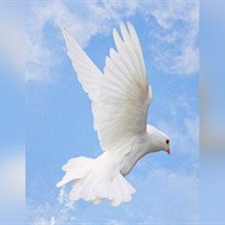 Patricia " Patti " Sue Thornhill