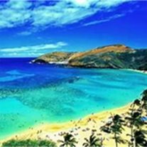 Dorothy Dianne Wheeler