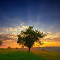 Jeffery Jay Landrum - Photo 8