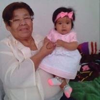 Paulina Martinez Perales - Photo 2