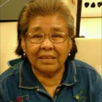 Paulina Martinez Perales - Photo 3