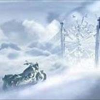 Jesse James Doucette Jr. - Photo 6