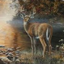 Steven Jerry "Roe Hoe" Stanley - Photo 2