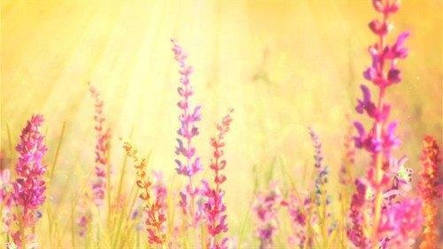 Angela Denise Holder - Photo 3