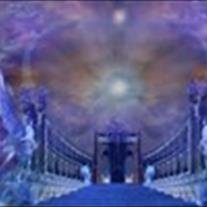 Katherine Aline Daniel Joy - Photo 8