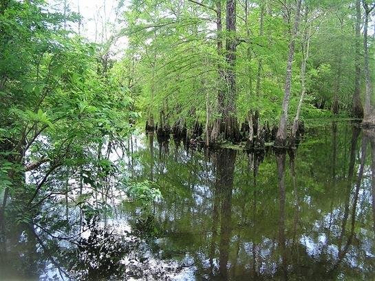 Robert Logan Sellers - Photo 6