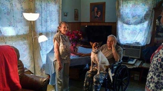 Howard J. Stengler - Photo 11