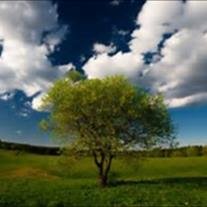 Floria Carol Curtis - Photo 3