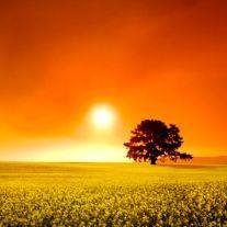 Charles Edward "Pee Wee" Alexander - Photo 2