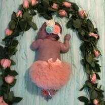 Aizley Grace Shannon - Photo 3