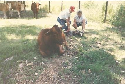Dorothy Merle Nettles - Photo 3