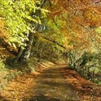 Columbus Radford " Little Man" Davis - Photo 2