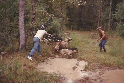 Thomas Alexander " Tommy" Laman Sr. - Photo 10