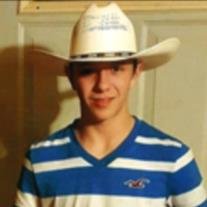 Harvey Douglas Potts - Photo 5