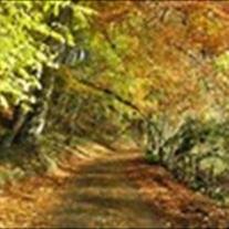 Tex Ritter Proctor - Photo 10