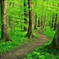 Thomas Wesley Madden - Photo 5