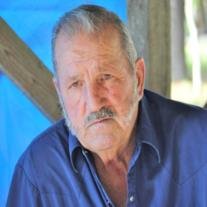 Travis Gene Fregia - Photo 9