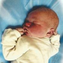 Matthew Ian Hashaw - Photo 8