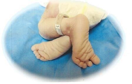 Matthew Ian Hashaw - Photo 9