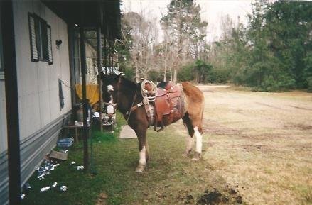 Robert "Bo" Alvin Jordan - Photo 2