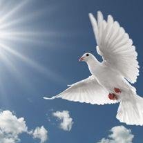 Georgia M. Green - Photo 2