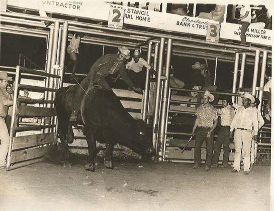 Eddie Arnold Taylor - Photo 11