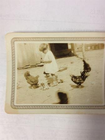 Virginia Rawlinson - Photo 5