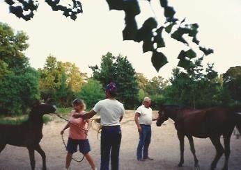 Clarence Fregia - Photo 2