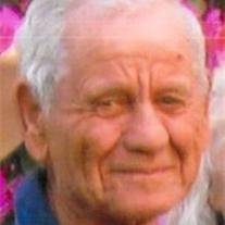 Hollis Sherwood "Bear" Singleton - Photo 2