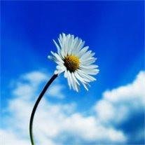 Mary Corrine Flowers Young - Photo 2