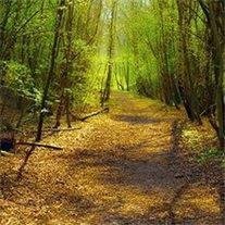 George Shane McCreight - Photo 2