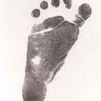 J.P. Reed Lupher - Photo 2