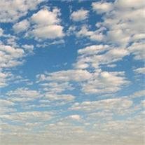 Mary E. Fregia - Photo 2