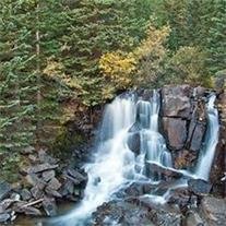 Winfield Curtis Hawkins - Photo 2