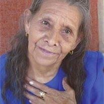 Rosa Vasquez - Photo 2