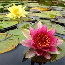 Billie Damrell - Photo 2