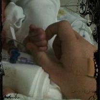 Gracie Holden - Photo 2